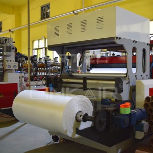 OEM Automatic Packaging Line Inflatable Bag Cushion Air Bubble Film Making Machine